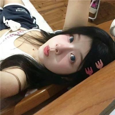 来自收容所的爱